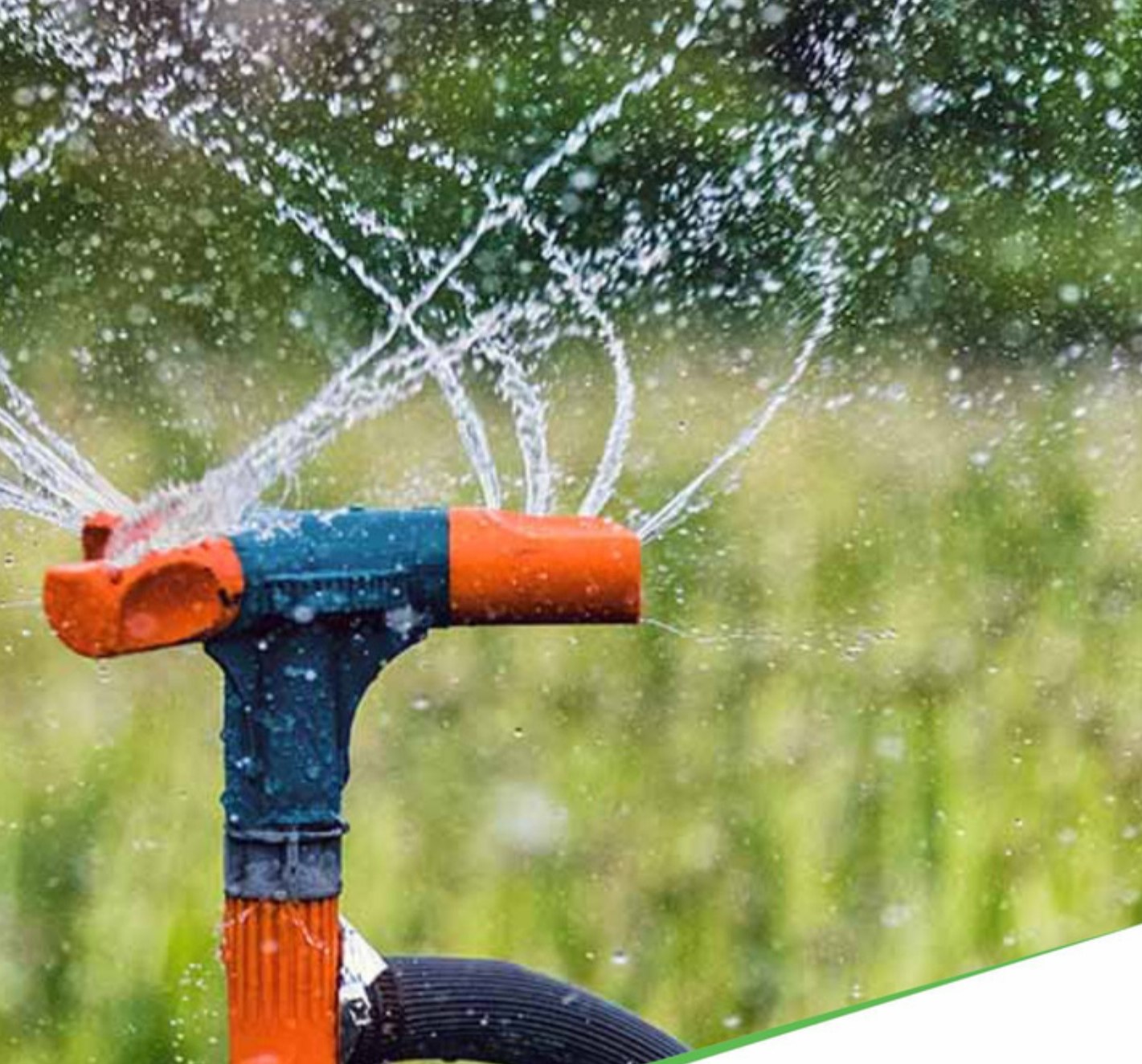 Sprinkler head throwing water across a green crop field